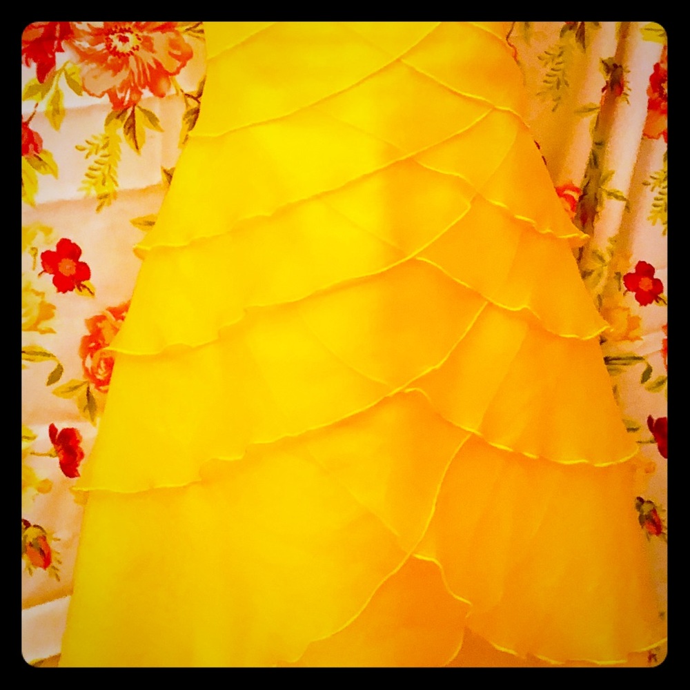 Pilar Rossi vintage evening dress, size 6